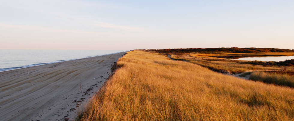 Nantucket Walkabout | 2-Hour Guided Wilderness Hikes