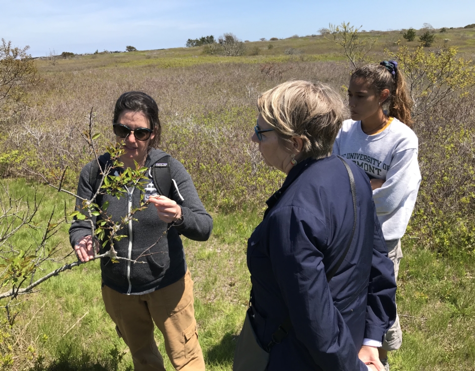 Linda Loring Nature Foundation | Nantucket Walkabout | 2-Hour Guided ...