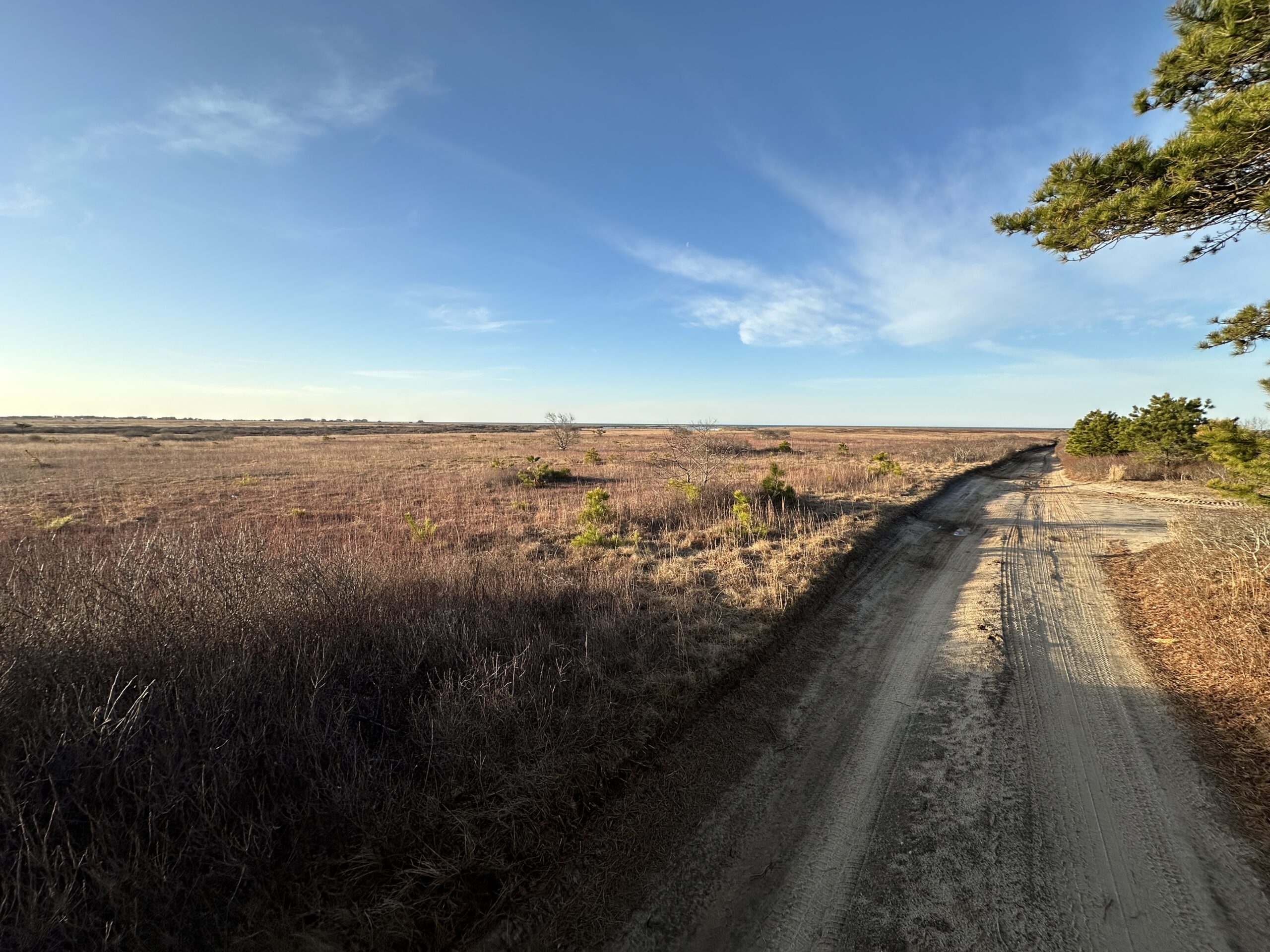 Nantucket Walkabout | 2-Hour Guided Wilderness Hikes